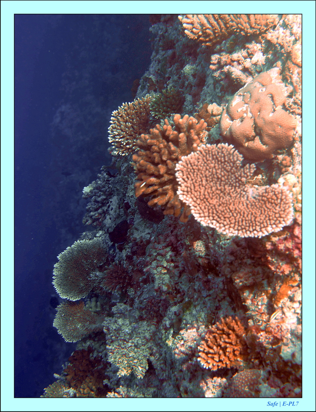 2023 - 07 - Sandies Bathala - 225